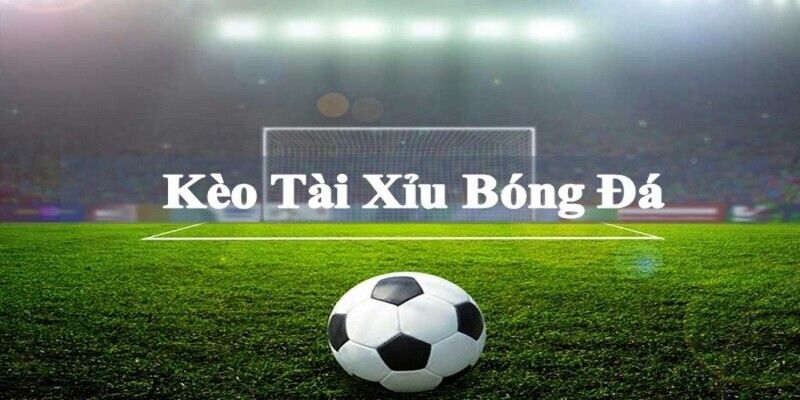 Tổng quan về kèo tài xỉu hấp dẫn tại nhà cái vipwin