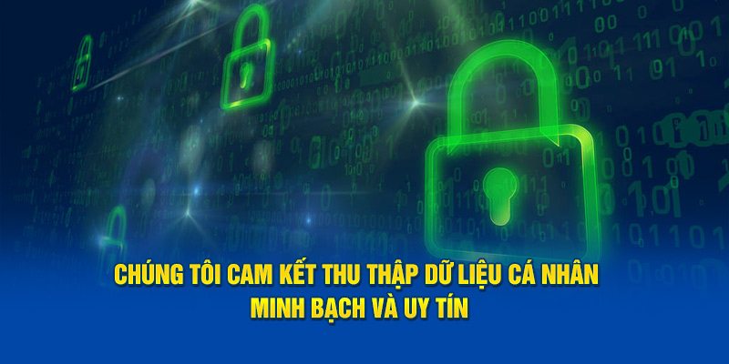 VipWin đề cao tính minh bạch trong mọi hoạt động