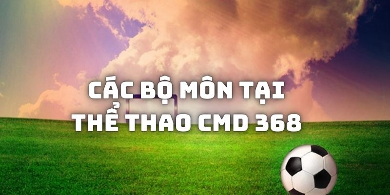 Tổng hợp các bộ môn cá cược thể thao tại CMD368 được yêu thích